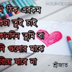 Ami ekta tui chai kobita poem lyrics কবিতা আমি একটা 'তুই চাই' - শ্রীজাত