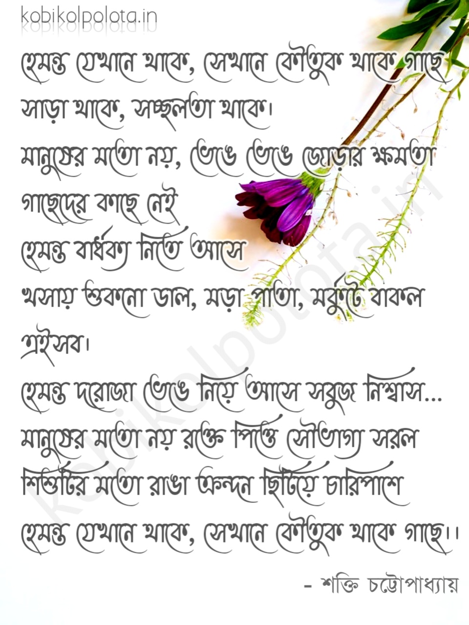Hemanta jekhane thake kobita : হেমন্ত যেখানে থাকে – শক্তি চট্টোপাধ্যায়