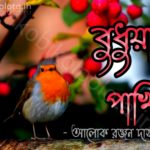 Budhuar pakhi kobita lyrics বুধুয়ার পাখি - আলোক রঞ্জন দাসগুপ্ত