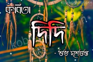 Didi kobita lyrics by Subha Dasgupta - দিদি কবিতা - শুভ দাশগুপ্ত