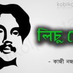 Lichu chor kobita abritti lyrics : লিচু চোর – কাজী নজরুল ইসলাম