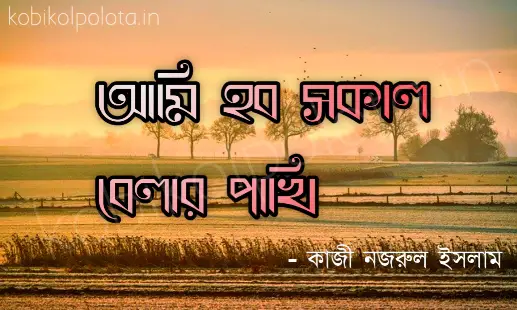 Ami hobo sokal belar pakhi kobita lyrics আমি হব সকাল বেলার পাখি