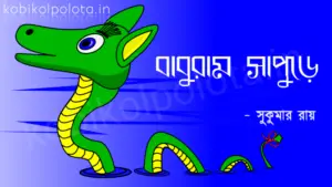 Baburam sapure kobita lyrics বাবুরাম সাপুড়ে কবিতা - সুকুমার রায়