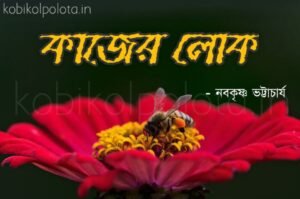 Kajer lok kobita poem lyrics কাজের লোক কবিতা - নবকৃষ্ণ ভট্টাচার্য