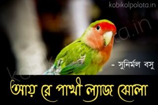 Ayre pakhi lag jhola kobita আয় রে পাখী ল্যাজ ঝােলা কবিতা - সুনির্মল বসু