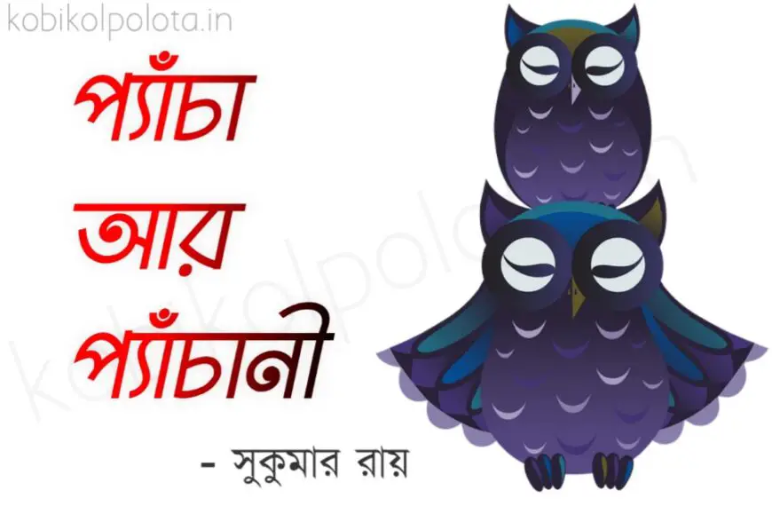 Pecha ar pechani kobita poem lyrics প্যাঁচা আর প্যাঁচানী কবিতা – সুকুমার রায়