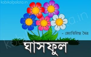 Amra gasher choto choto ful kobita আমরা ঘাসের ছোট ছোট ফুল কবিতা