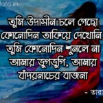 Amar dugdugi kobita poem lyrics আমার ডুগডুগি কবিতা – তারাপদ…