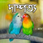 Dampotto kobita poem lyrics দাম্পত্য কবিতা - প্রমোদ বসু
