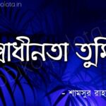 Shadhinota tumi kobita poem lyrics স্বাধীনতা তুমি - শামসুর রাহমান