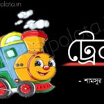 Train kobita Shamshur Rahaman ট্রেন কবিতা শামসুর রাহমান