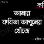 Amar kobita aguner khoje lyrics আমার কবিতা আগুনের খোঁজে মল্লিকা সেনগুপ্ত