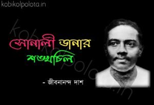 Sonali danar sankhachil Jibanananda Das সোনালী ডানার শঙ্খচিল জীবনানন্দ দাশ