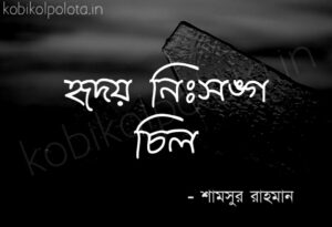 Hridoy nirsongo chil kobita Shamsur Rahman হৃদয় নিঃসঙ্গ চিল কবিতা শামসুর রাহমান