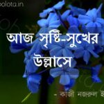 Aj srishti sukher ullashe kobita lyrics আজ সৃষ্টি-সুখের উল্লাসে কবিতা