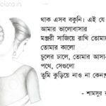 Tomar nalisher pore kobita lyrics তোমার নালিশের পরে - শামসুর রাহমান