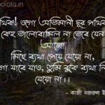 Biday belay kobita Kazi Nazrul Islam বিদায়-বেলায় - কাজী নজরুল ইসলাম