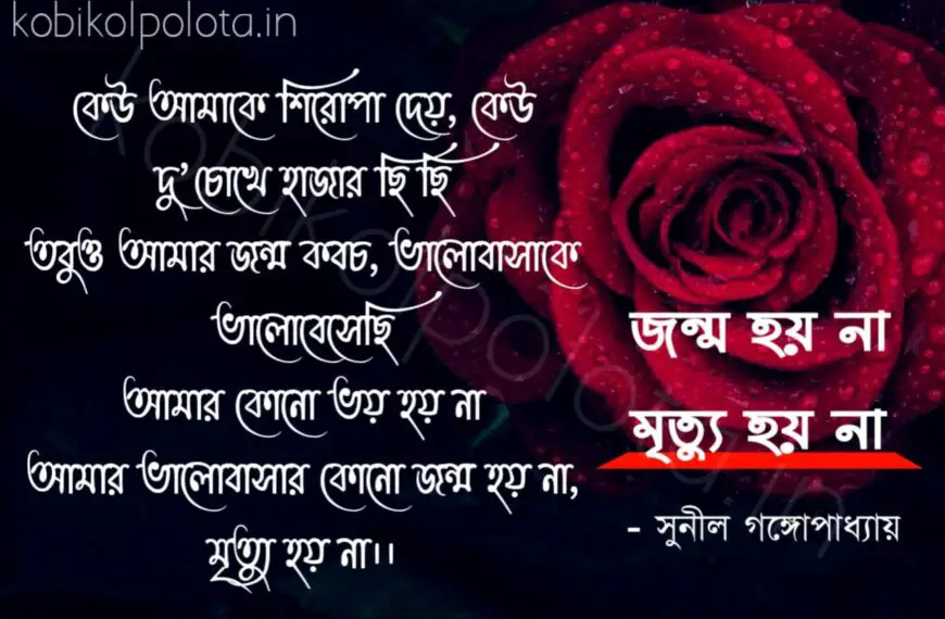 Bengali Poem, Jonmo hoy na mrityu hoy na kobita lyrics written by Sunil Gangopadhyay বাংলা কবিতা, জন্ম হয় না, মৃত্যু হয় না লিখেছেন সুনীল গঙ্গোপাধ্যায়।