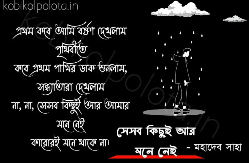 Bengali Poem, Sesob kichui ar mone nei kobita lyrics written by Mahadev Saha বাংলা কবিতা, সেসব কিছুই আর মনে নেই লিখেছেন মহাদেব সাহা।