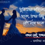Bengali Poem, Jokhon nei tokhon thako kobita lyrics written by Taslima Nasrin বাংলা কবিতা, যখন নেই, তখন থাকো লিখেছেন তসলিমা নাসরিন।