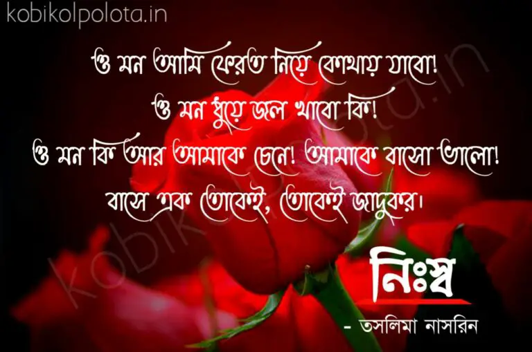 Bengali Poem, Nirsho kobita lyrics written by Taslima Nasrin বাংলা কবিতা, নিঃস্ব লিখেছেন তসলিমা নাসরিন।