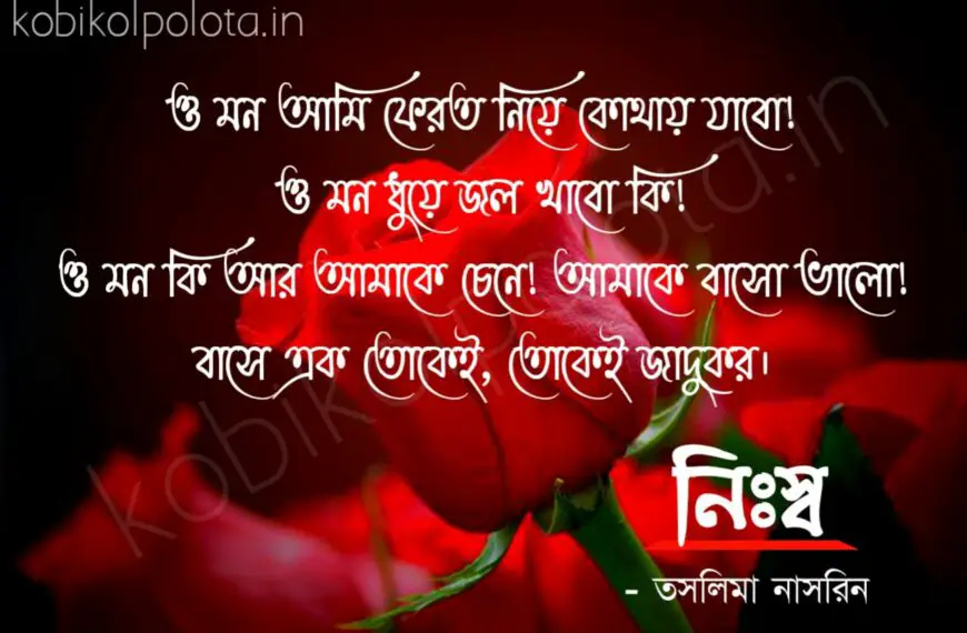 Bengali Poem, Nirsho kobita lyrics written by Taslima Nasrin বাংলা কবিতা, নিঃস্ব লিখেছেন তসলিমা নাসরিন।