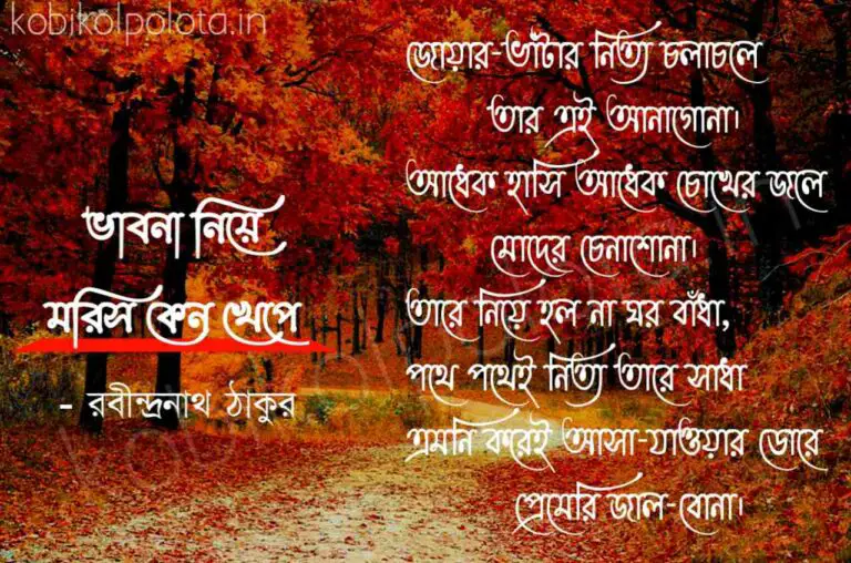 Bengali Poem, Vabna niye moris keno khepe lyrics written by Rabindranath Tagore বাংলা কবিতা, ভাবনা নিয়ে মরিস কেন খেপে লিখেছেন রবীন্দ্রনাথ ঠাকুর।