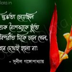 Bengali Poem, Ekti stobdhota cheyechilo kobita lyrics written by Sunil Gangopadhyay বাংলা কবিতা, একটি স্তব্ধতা চেয়েছিল লিখেছেন সুনীল গঙ্গোপাধ্যায়।
