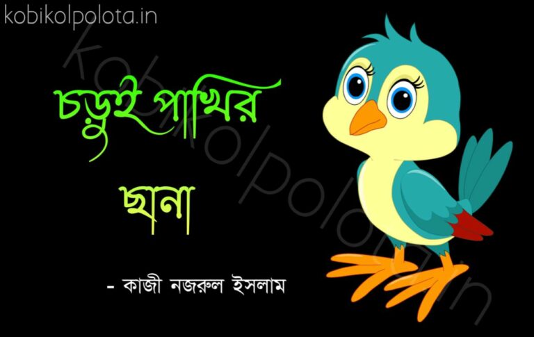 Bengali Poem, Chorui pakhir chana kobita lyrics written by Kazi Nazrul Islam বাংলা কবিতা, চড়ুই পাখির ছানা লিখেছেন কাজী নজরুল ইসলাম।