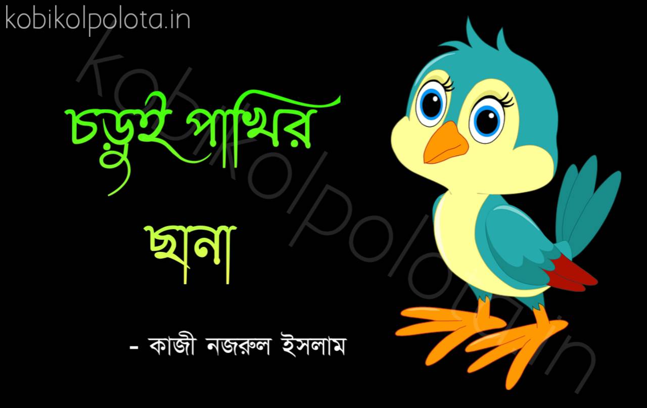 Bengali Poem, Chorui pakhir chana kobita lyrics written by Kazi Nazrul Islam বাংলা কবিতা, চড়ুই পাখির ছানা লিখেছেন কাজী নজরুল ইসলাম।