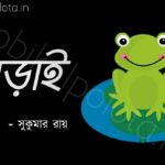 Bengali Poem, Borai kobita lyrics written by Shukumar Ray বাংলা কবিতা, বড়াই লিখেছেন সুকুমার রায়।