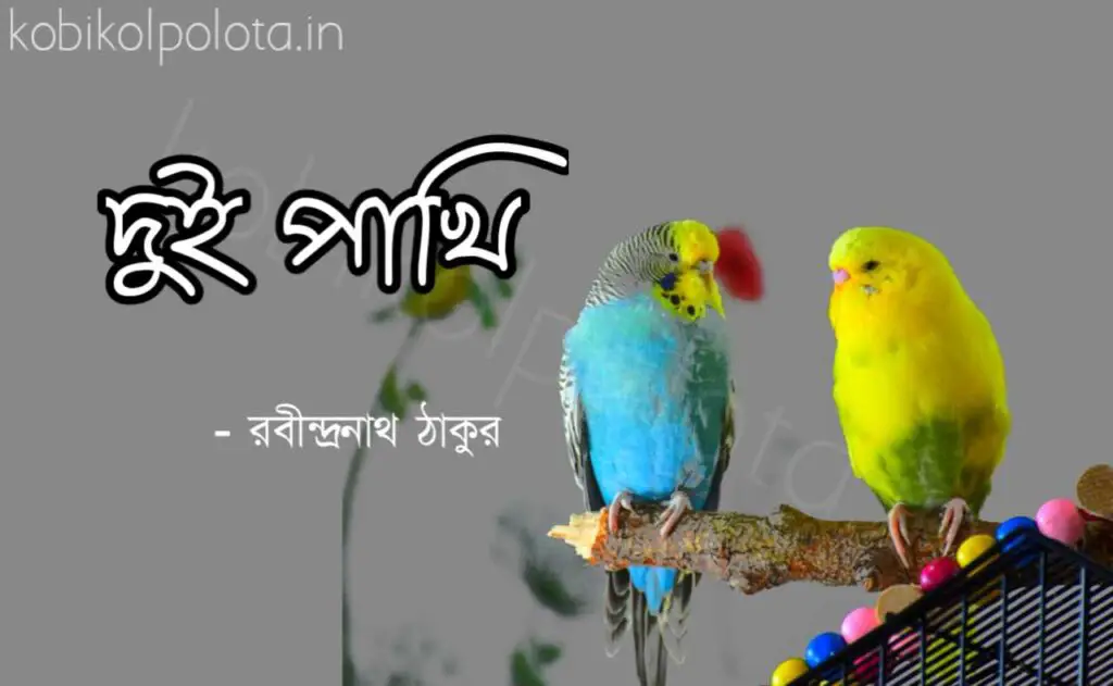 Dui pakhi kobita lyrics Rabindranath Tagore দুই পাখি কবিতা রবীন্দ্রনাথ ঠাকুর