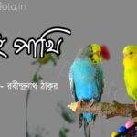 Dui pakhi kobita lyrics Rabindranath Tagore দুই পাখি কবিতা রবীন্দ্রনাথ ঠাকুর