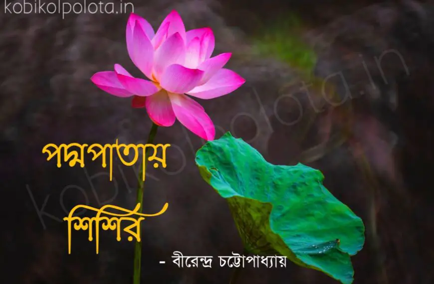Padmapatay Sisir Kobita পদ্মপাতায় শিশির কবিতা বীরেন্দ্র চট্টোপাধ্যায়