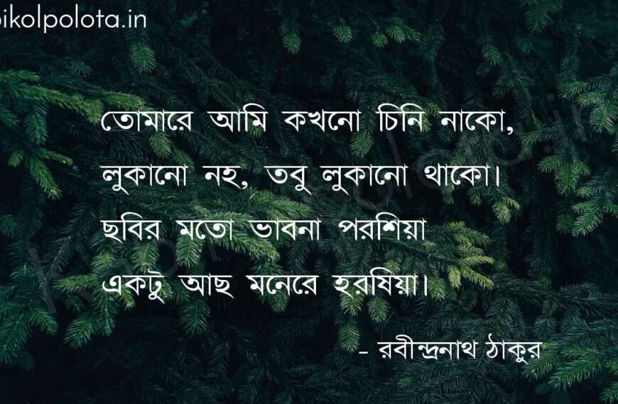 অচেনা (কবিতা) - রবীন্দ্রনাথ ঠাকুর Achena poem by Rabindranath Tagore