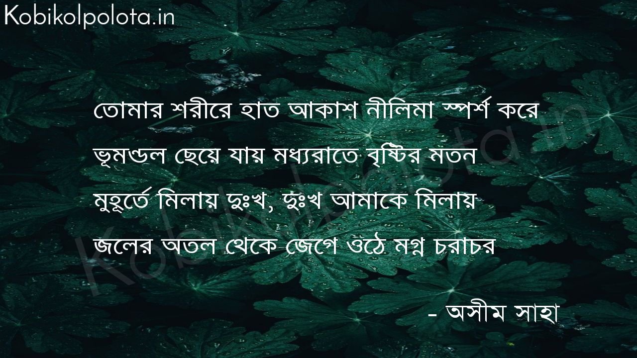 স্পর্শ - অসীম সাহা sporsho kobita ashim saha 