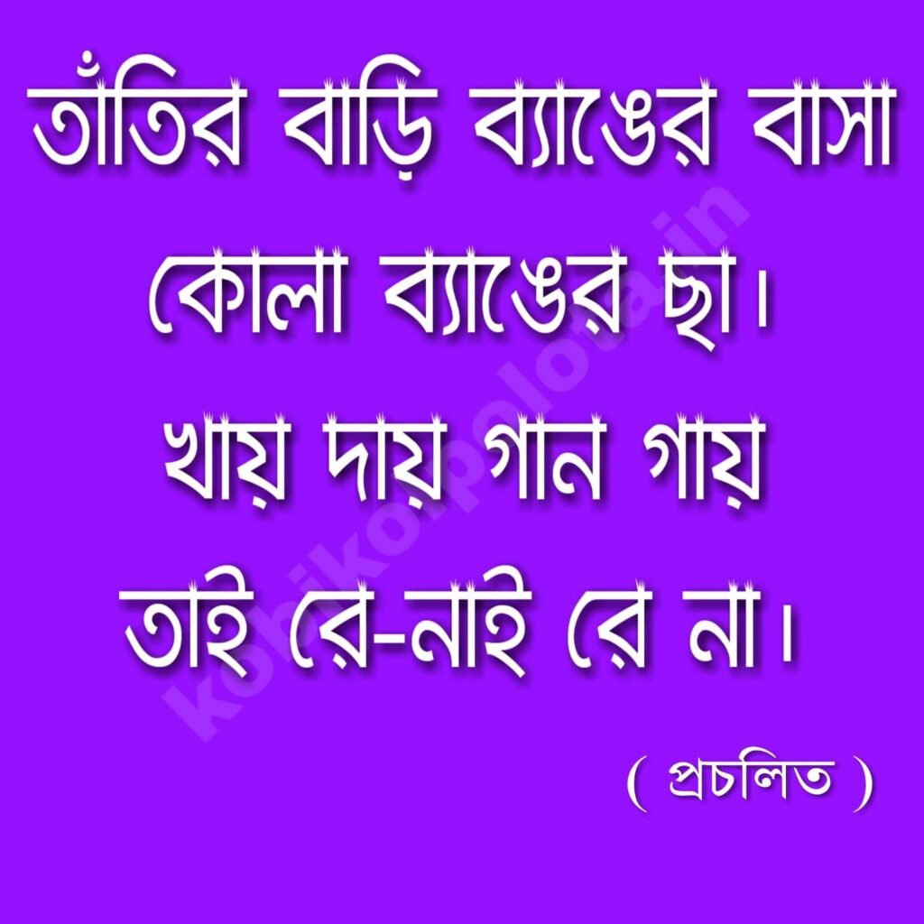 তাঁতির বাড়ি ব্যাঙের বাসা - প্রচলিত ছড়া