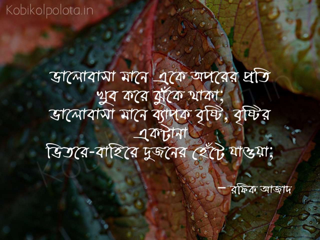 ভালোবাসার সংজ্ঞা – রফিক আজাদ